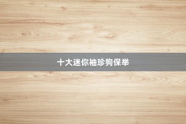 十大迷你袖珍狗保举